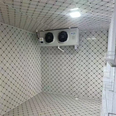Walk-in Freezer